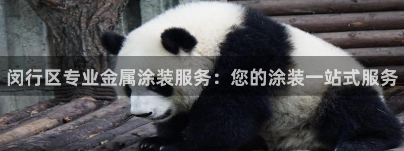 美高梅会员卡级别黑卡