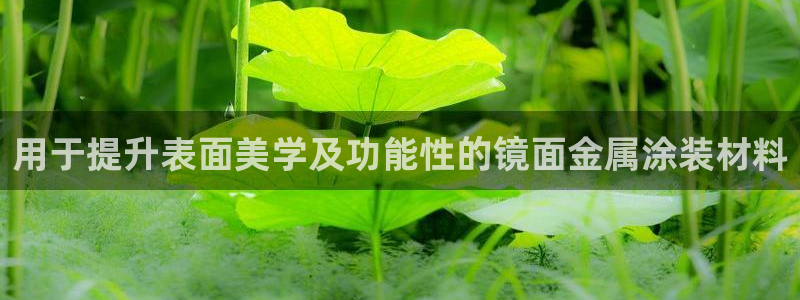 美高梅游戏苹果手机版
