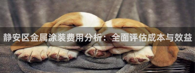 美狮美高梅酒店介绍