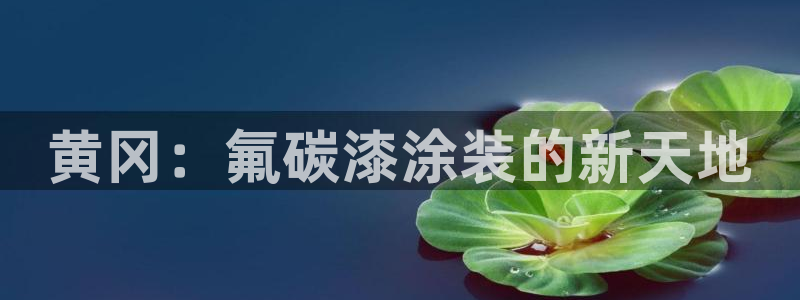何超琼美高梅持股