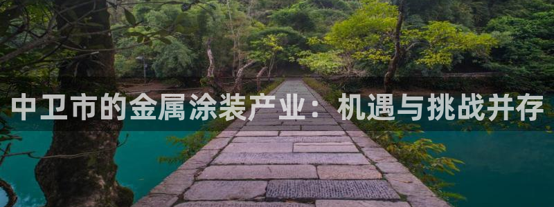 美高梅酒店三亚：中卫市的金属涂装产业：机