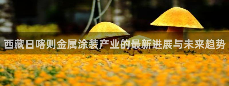 美高梅别墅房价：西藏日喀则金属涂装产业的