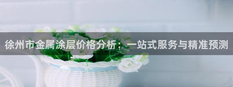 美高梅官网手机版下载：徐州市金属涂层价格