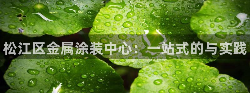 美高梅别墅宋家庄