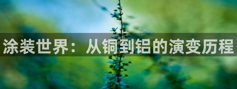 美高梅酒店表演时间