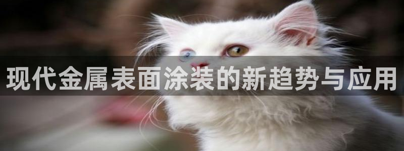 美高梅酒店是谁的