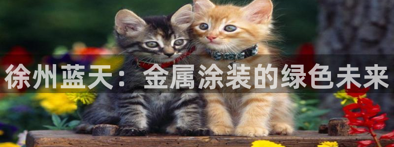鲁能钓鱼台美高梅楼盘详情