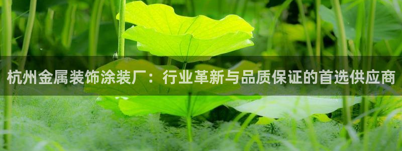 美高梅股票中国毛利率