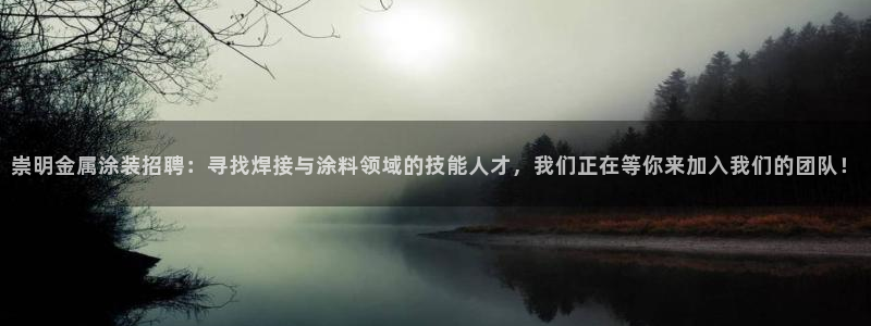 美高梅 何超琼