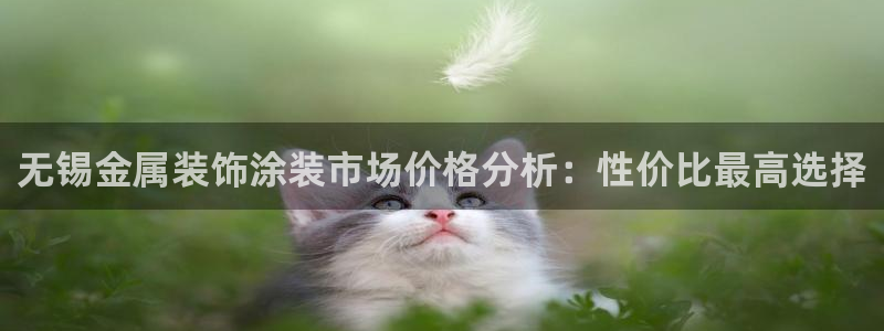 美高梅酒店分布