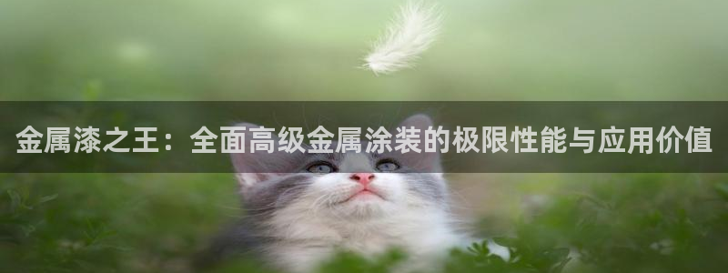 美高梅品牌
