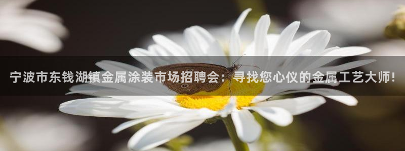 美高梅北京丰台