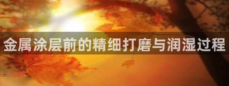 美高梅公司怎么样：金属涂层前的精细打磨与