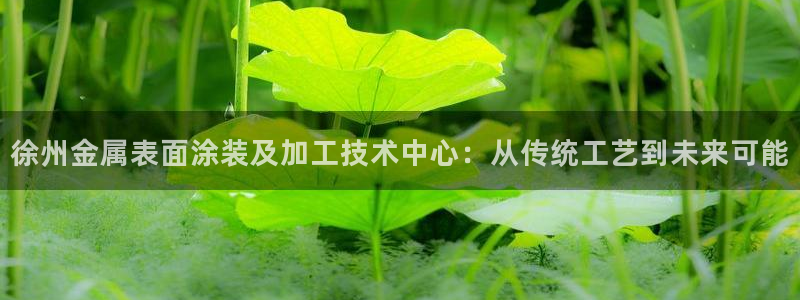 美高梅酒店ka秀价格
