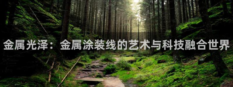 美高梅充值多少钱能提现到微信