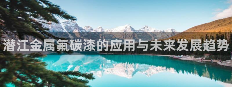 美高梅会员卡等级图片