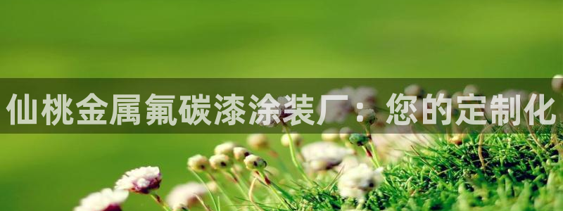 美高梅酒店管理有限公司