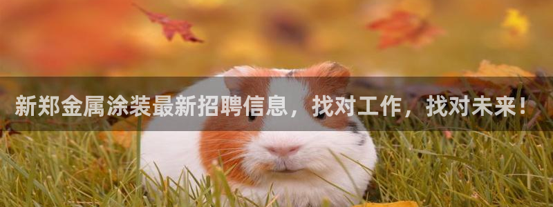 美高梅集团有哪些酒店
