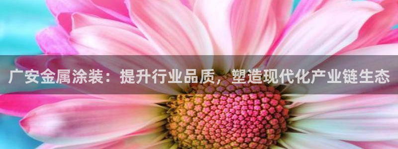 美高梅有限公司