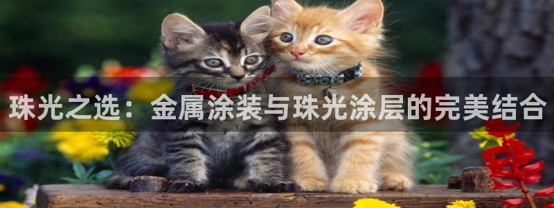 美高梅股票代码02282新