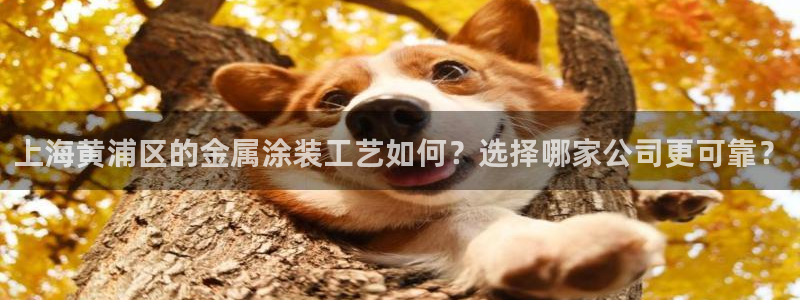 美高梅的狮子值多少钱