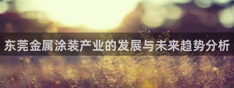 美高梅酒店层高