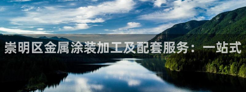 美高梅是上市公司吗