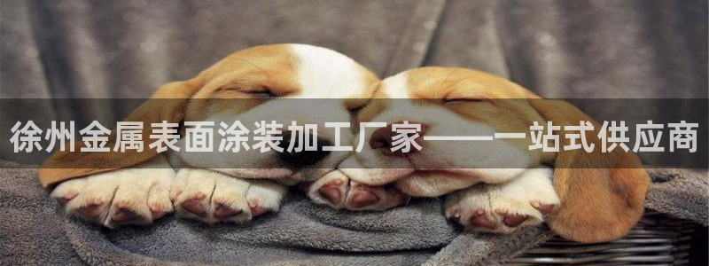 美高梅游戏攻略：徐州金属表面涂装加工厂家