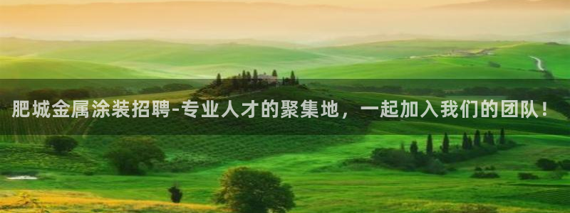 美高梅控股有限公司招聘