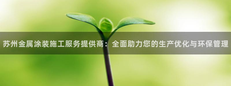 美狮美高梅酒店造价多少