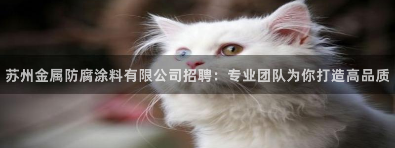 美高梅会员等级怎么分