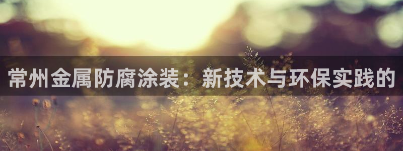 美高梅是做什么的品牌
