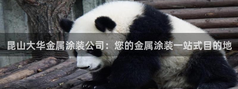 美狮美高梅酒店购物：昆山大华金属涂装公司