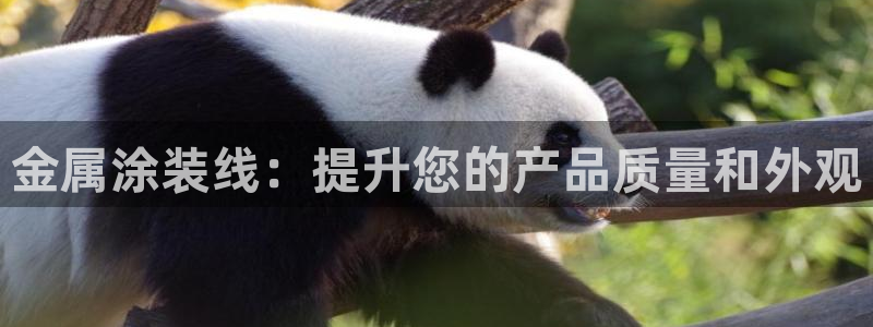 美高梅酒店上海