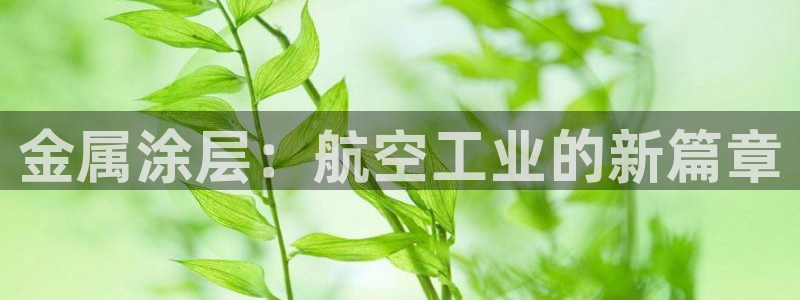 美高梅餐饮店在哪里开