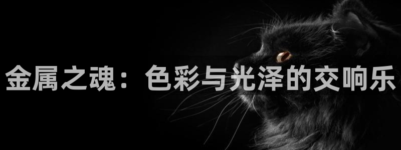 美高梅酒店一晚多少钱