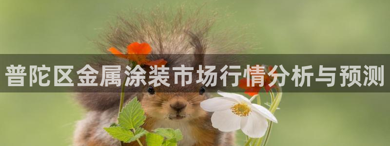 美高梅度假酒店攻略