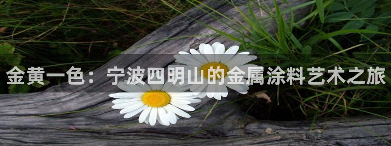 美高梅酒店全年自助