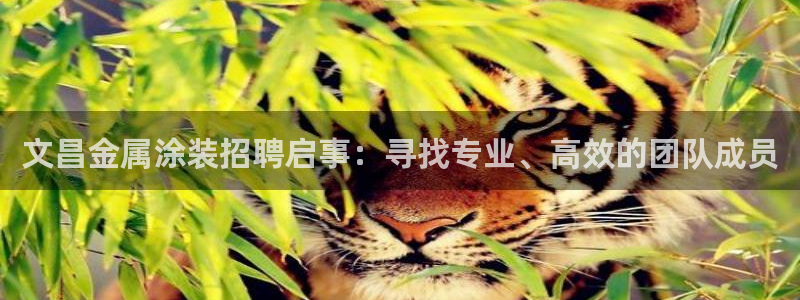 美高梅酒店老板是谁