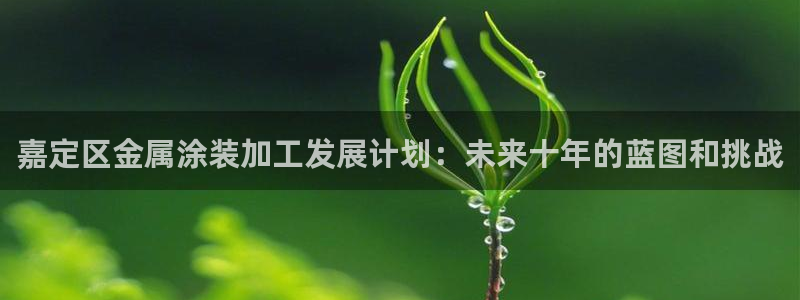 美高梅卡颜色等级