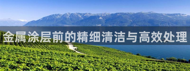 美高梅附近有哪些酒店