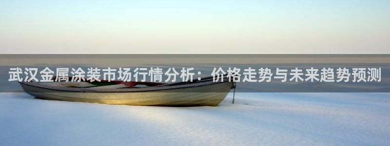 美高梅酒店品牌之夜：武汉金属涂装市场行情