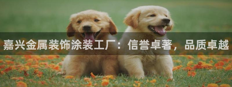 美高梅天幕广场表演